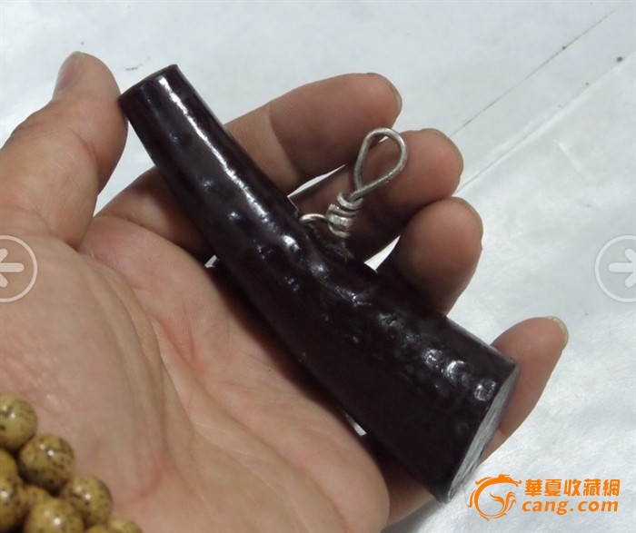老野山羊角