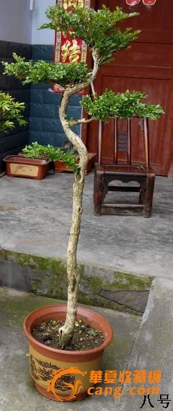 ľ辰