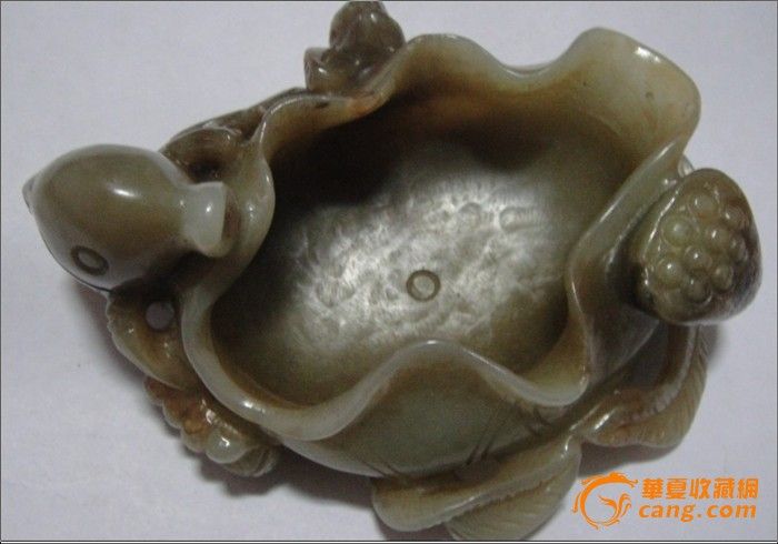 水鱼_水鱼价格_水鱼图片_来自藏友辽西红山_