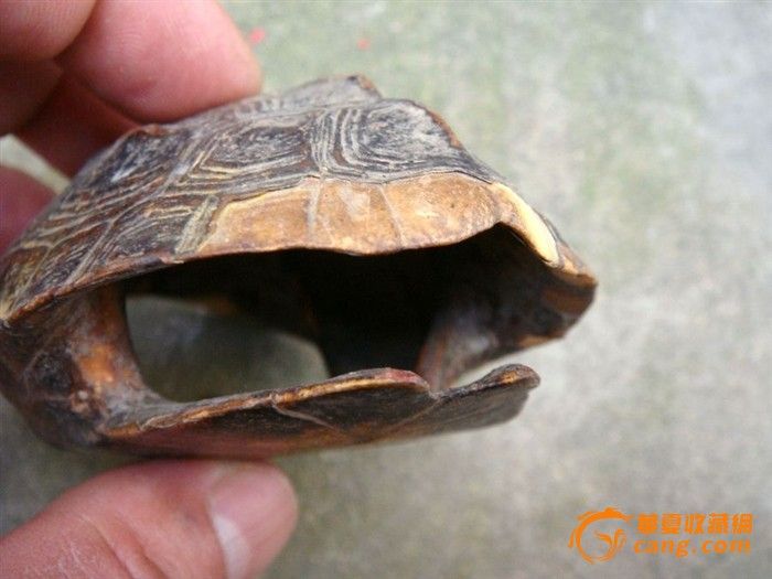 地摊交易区所展示的物品交易信息,其真实性、准确性和合法性由信息发布人负责,华夏收藏网不承担任何法律责任。 华夏收藏网有两种交易模式,1、买卖双方私下协商自行交易;2、买卖双方委托华夏收藏网代理交易。 凡是用户私下交易免费,但本网不承担任何责任。华夏收藏网提醒:为保障您的利益,推荐您选择委托华夏收藏网代理交易,具体安全交易方法如下: 代理交易其运作的实质是以华夏收藏网为货与款转移的中介,提供让买卖双方都放心货款转移的一种服务。 1、买卖双方通过看图、交流达成交易意向,买家将货款作为押金汇至本网,本网收到押金