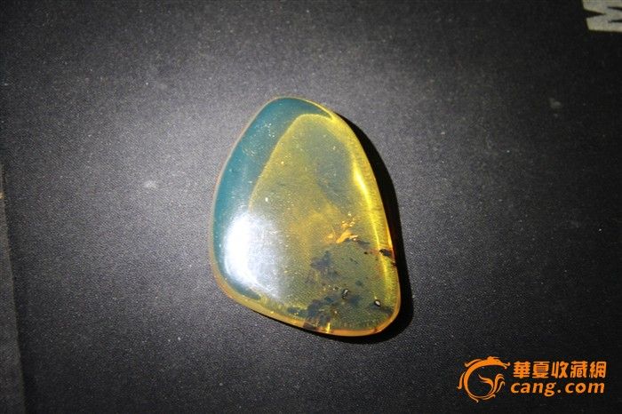 水淋淋的蓝珀_水淋淋的蓝珀价格_水淋淋的蓝