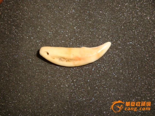 清代狼牙_清代狼牙价格_清代狼牙图片_来自藏友水中鱼