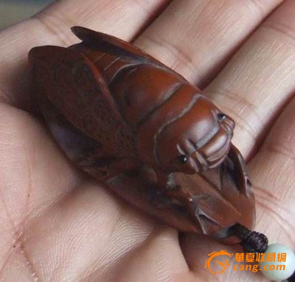 老黄杨木 有包浆 一夜成名