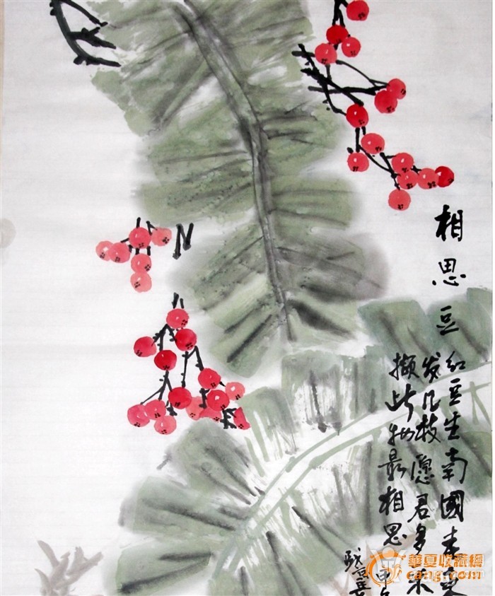 相思豆98cm*50cm