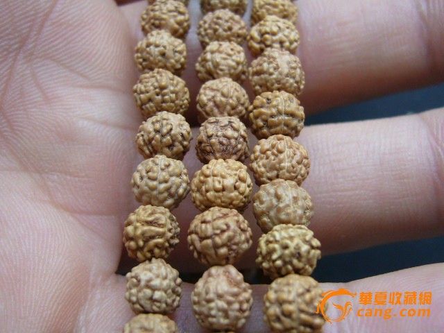 0.6小金刚_0.6小金刚价格_0.6小金刚图片_来自