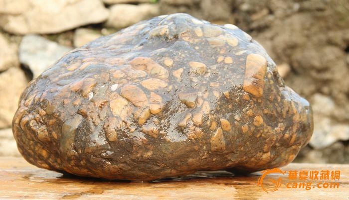 金钱石奇石纯天然没有任何加工_金钱石奇石纯