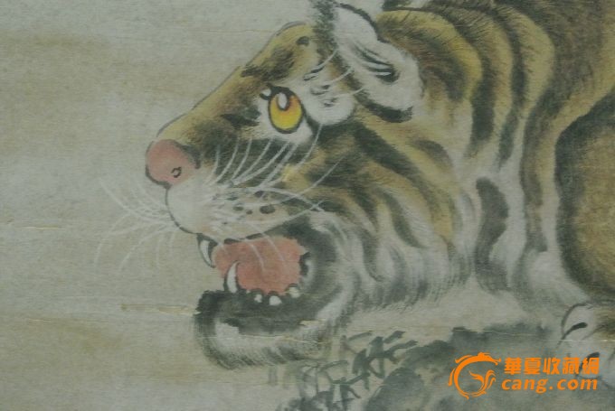 照猫画虎_照猫画虎价格_照猫画虎图片_来自藏