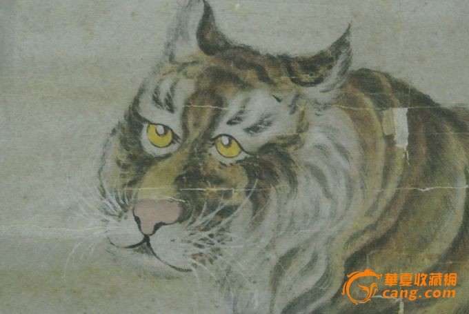 照猫画虎_照猫画虎价格_照猫画虎图片_来自藏