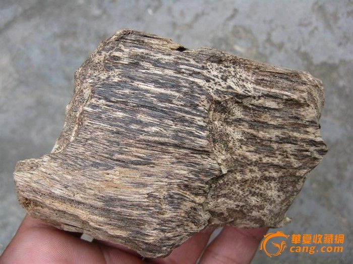 沉香木，带油性(#3)_沉香木，带油性(#3)价格_沉香木，带油性(#3)图片_来自藏友yzxiang_木器_地摊交易_华夏收藏网 cang.com