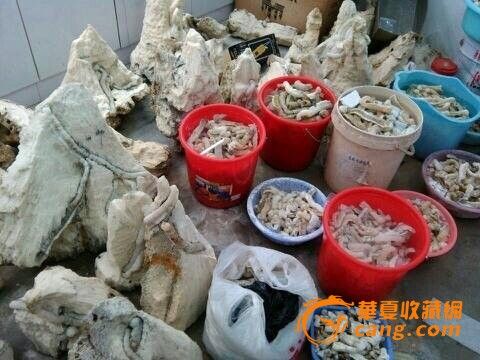 螺化玉_螺化玉视频_螺化玉图片_来自藏友宝琪崎爱蓨价格图片