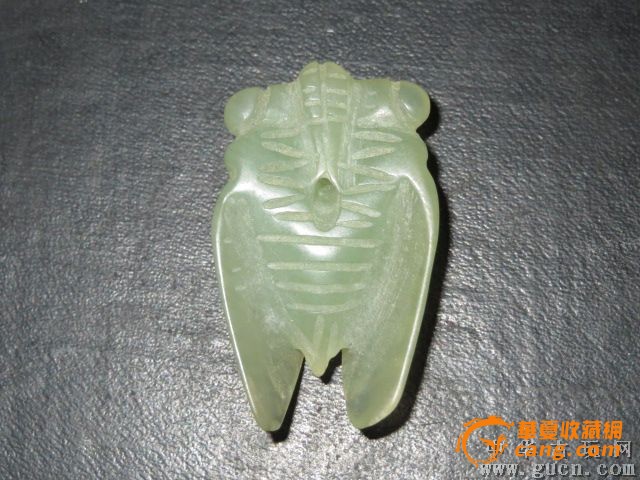 玉蝉