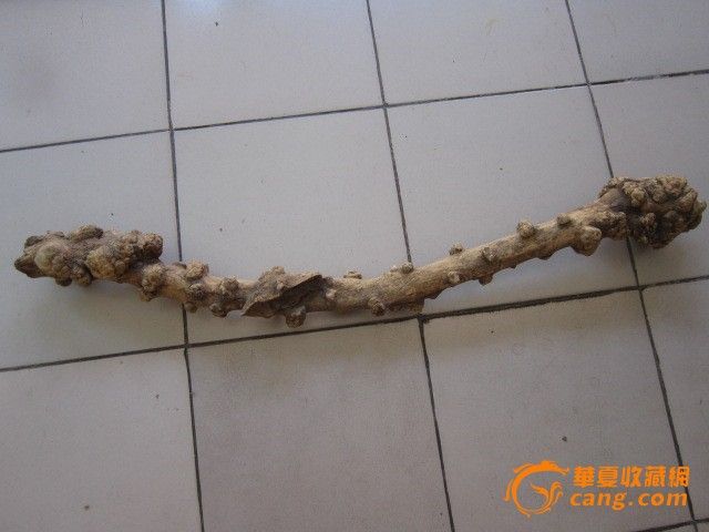 自然形成的树瘤段118.0_自然形成的树瘤段11