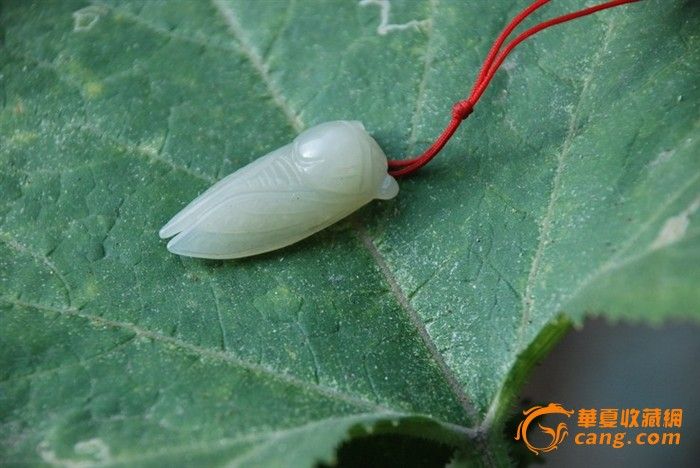 和田青白玉玉蝉_和田青白玉玉蝉价格_和田青