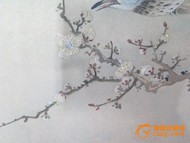 马家桐花鸟画_马家桐花鸟画价格_马家桐花鸟画图片_藏