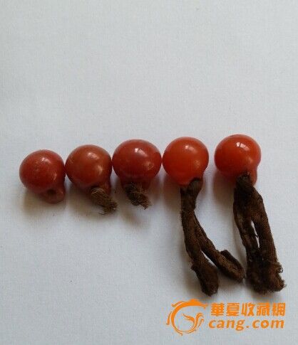 真正的老南红玛瑙扣子图片