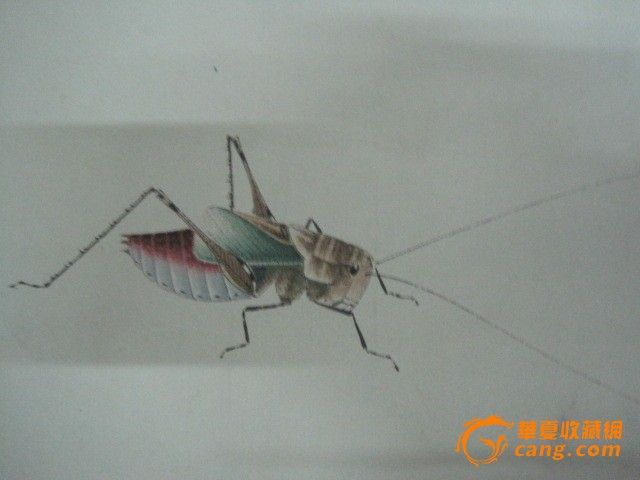 白石 蜻蜓 与 蝗虫_齐白石 蜻蜓 与 蝗虫价格_齐