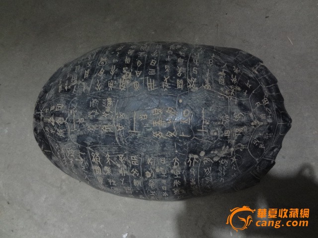 龟壳甲骨文