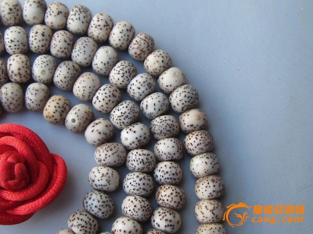 藏式星月菩提高密干磨正月_藏式星月菩提高密