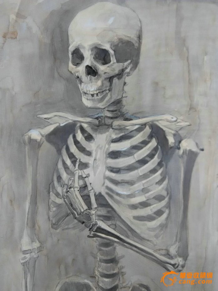 中青年油画家精品素描画原作《骨骼》