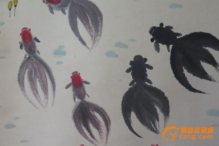 吴作人金鱼_吴作人金鱼价格_吴作人金鱼图片