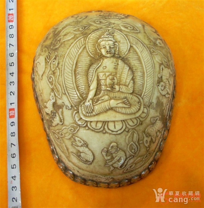 青藏高原稀有嘎巴拉头盖骨工艺品 (约16厘米左右)