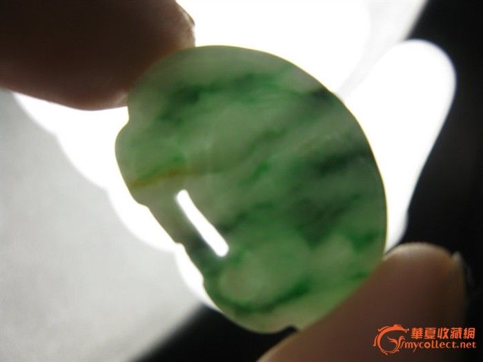 伟德国际黄金宝塔养殖技巧 黄金宝塔如何养护