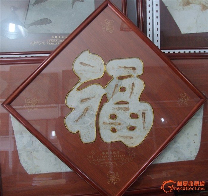 辽西★福字(福 满神州 拼字 礼品 狼鳍鱼化石