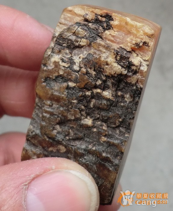 少见东西以前用下的.老射天角