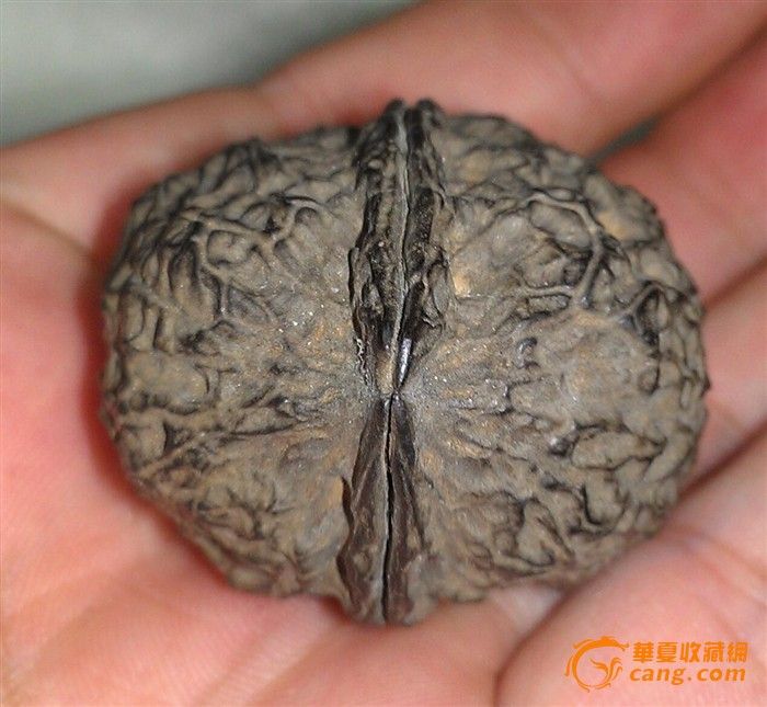 落地黑 文玩核桃