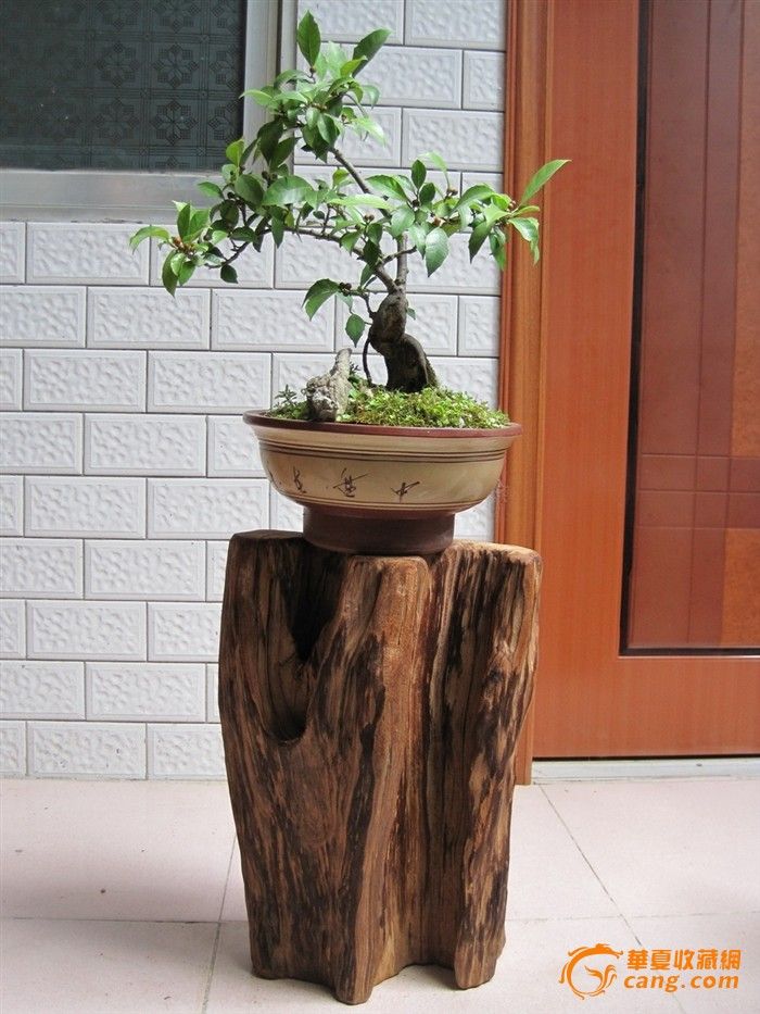 越南极品水沉香摆件——漂亮坐式花架(黑油香)