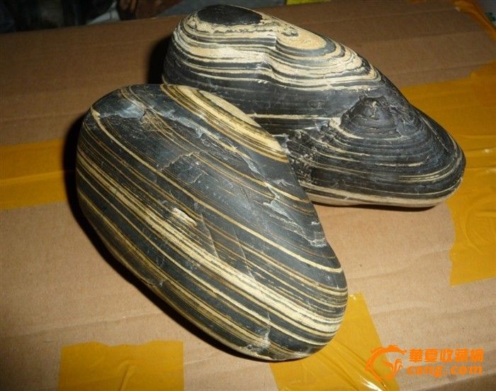 黄河奇石----------三寸金莲一对