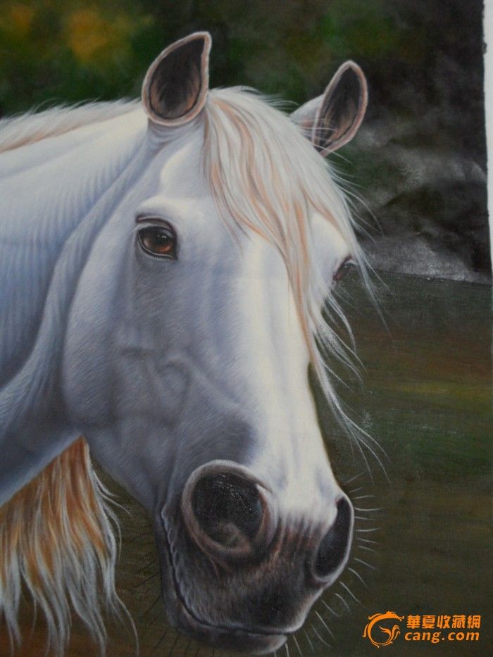 油画 白龙马