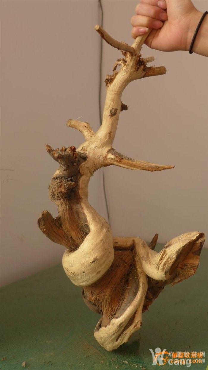 3月30号新下山崖柏小根艺毛料