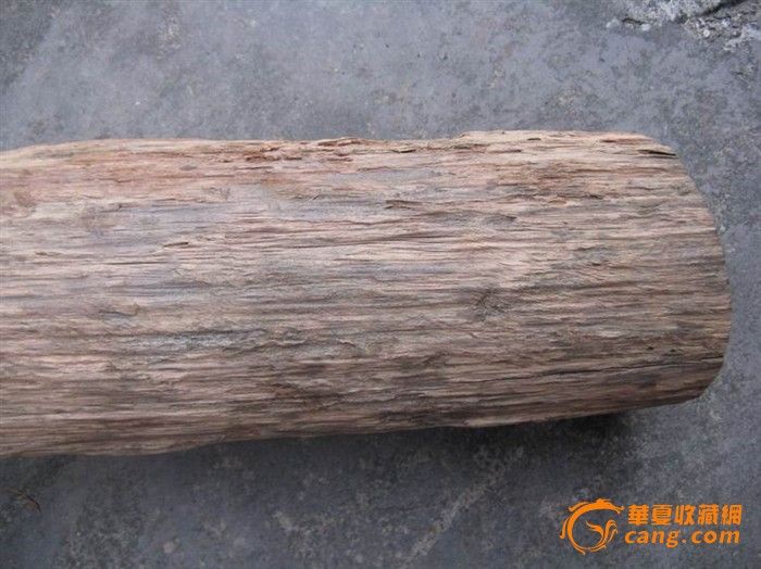 香木,常香木,金香木(第7页)_大山谷图库