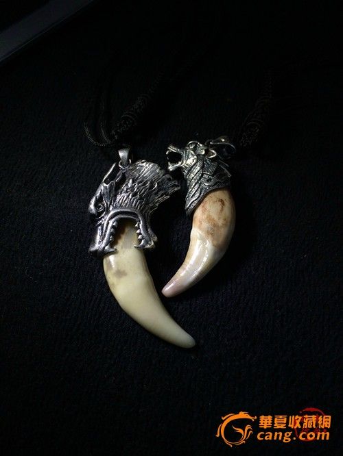 真狼牙 蒙古真狼牙 ——【丰血狼行】