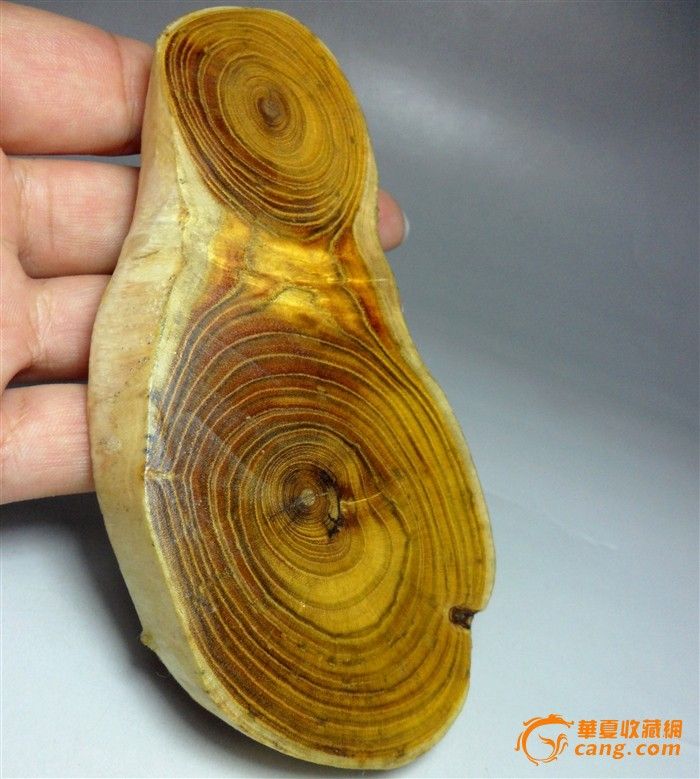 精美泰山黄龙木摆件!