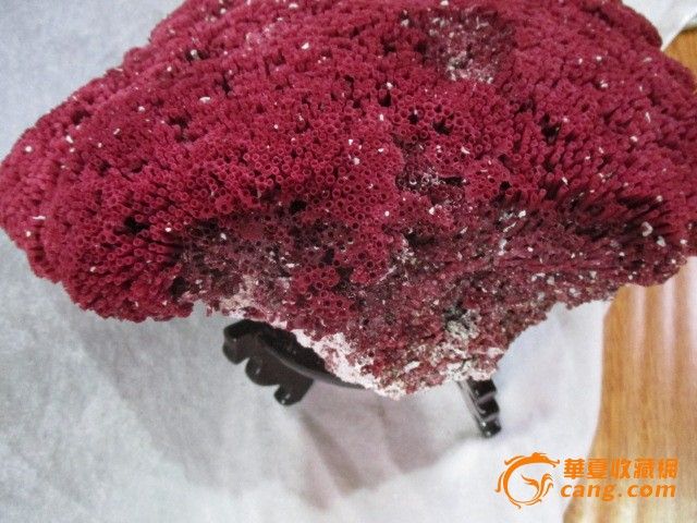 红珊瑚大摆件