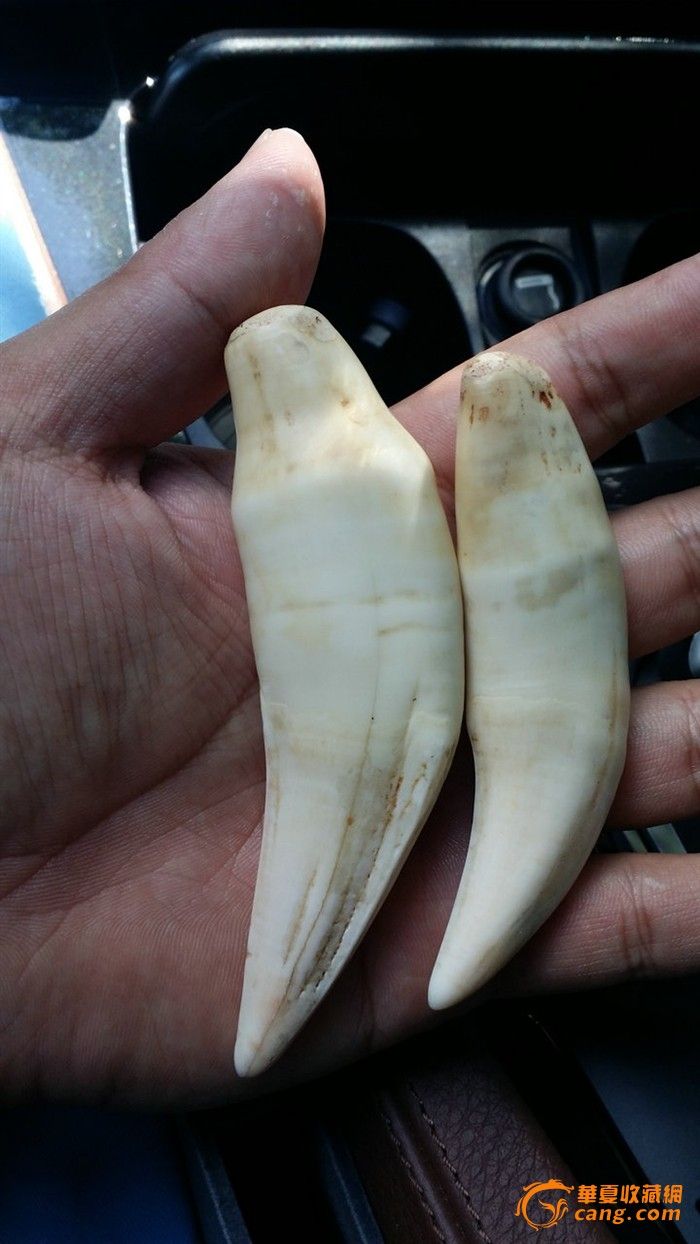 老件精品*h* 两颗 大的11cm 两颗一起走