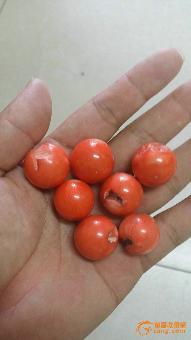 老珊瑚珠子七颗珠子直径16mm