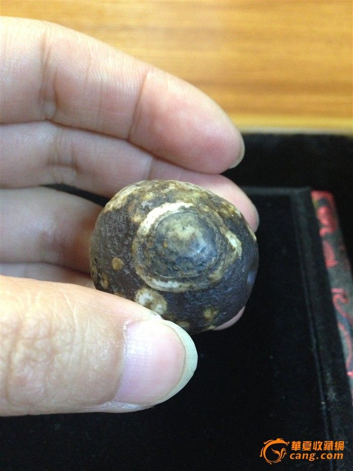 西藏修庙出土千年高古天珠